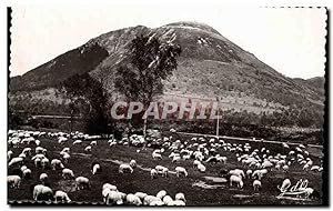 Seller image for Puy de Dome- Paturages au Pied-alt 1465m-mouton -CPA for sale by CPAPHIL