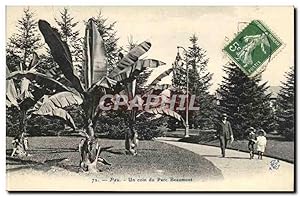 Image du vendeur pour Pau Carte Postale Ancienne Un coin du parc Beuamont (bananier banane) mis en vente par CPAPHIL