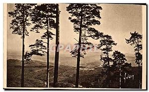 Andlau Carte Postale Ancienne La forêt vue du Mont Saint Odîle