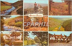 Carte Postale Moderne Glorious Exmoor Greetings from Exmor Chasse