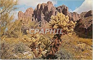 Image du vendeur pour Carte Postale Moderne Cholla Cactus of Background of Arizona's Famous Supestition Mountain mis en vente par CPAPHIL