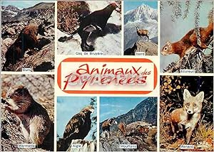 Bild des Verkufers fr Carte Postale Moderne Animaux des Pyrenees Ours Coq de Bruyere Isard Ecureuil Marmotte Aigle Mouflons Renard zum Verkauf von CPAPHIL