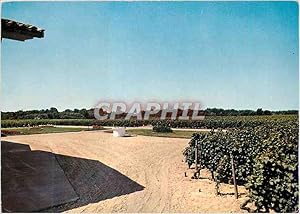 Bild des Verkufers fr Carte Postale Moderne Leognan Bordeaux Une partie du Vignoble du Chteau de Fieuzal Grand Cru Classe des Graves zum Verkauf von CPAPHIL