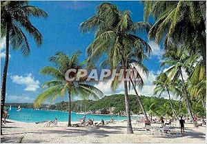 Carte Postale Moderne Guadeloupe Sainte Anne Plage de la Caravelle