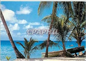 Carte Postale Moderne Martinique FWI Anse d'Arlet Reve Caraibe