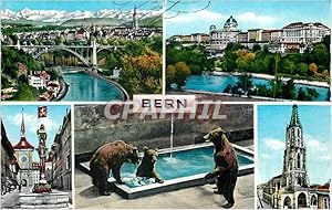 Image du vendeur pour Carte Postale Moderne Berne Ours Zoo mis en vente par CPAPHIL