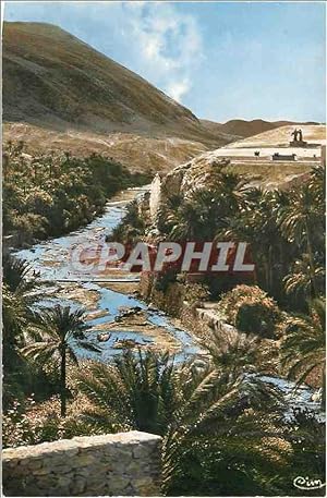 Carte Postale Moderne Bou Saada (Algerie) Cite du Bonheur les Gorges