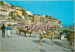 Seller image for Carte Postale Moderne Hydra Moyens de Transport avec l'Intrieur Ane Donkey for sale by CPAPHIL