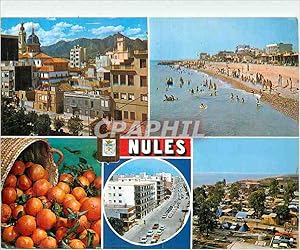 Carte Postale Moderne Nules (Castellon) Divers Aspects