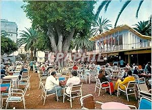 Carte Postale Moderne Tenerife (Puerto de la Cruz)Place du Charco