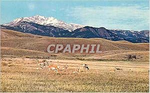 Imagen del vendedor de Carte Postale Moderne Home on the Range Where the Antelope Play a la venta por CPAPHIL