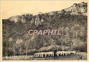 Carte Postale Ancienne Le Chemin de Fer de la Grotte de Han Les Rochers de Faule Berger Moutons T...