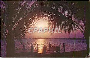 Carte Postale Moderne Florida Sunset