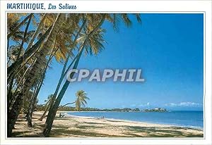 Carte Postale Moderne Martinique Sainte Anne Plage des Salines