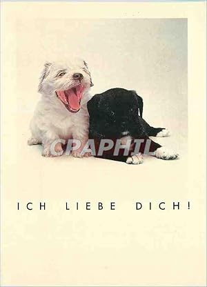 Immagine del venditore per Carte Postale Moderne Ich Liebe Dich Mots en Libert Chiens venduto da CPAPHIL