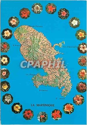 Carte Postale Moderne Martinique Madinina L'île aux Fleurs Hibiscus