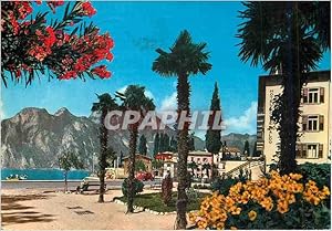 Carte Postale Moderne Torbole Lago di Garda Panorama