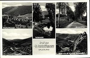 Bild des Verkufers fr Ansichtskarte / Postkarte Wenholthausen Eslohe im Sauerland, Teilansicht vom Ort, Wennetal, Birkenallee, Wallenstein zum Verkauf von akpool GmbH