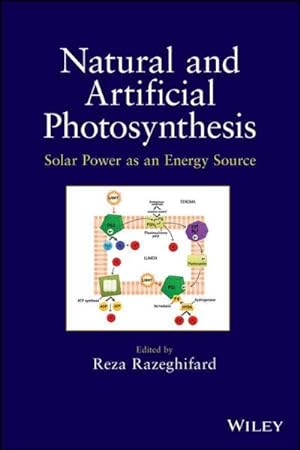 Immagine del venditore per Natural and Artificial Photosynthesis : Solar Power as an Energy Source venduto da GreatBookPrices