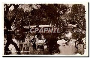 Imagen del vendedor de Grande Bretagne Victori Park Paignton Cygne Swan a la venta por CPAPHIL