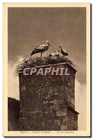 Carte Postale Ancienne Luxeuil les Bains Nid de cigognes
