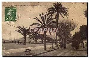 CAnnes Carte Postale Ancienne Palmiers Promenade de la CRoisette