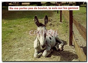 Immagine del venditore per Carte Postale Moderne Humour Ne me parlez pas de boulot je suis sur les genoux (ane donkey mule) venduto da CPAPHIL