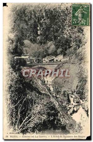Image du vendeur pour Algerie Blida Carte Postale Ancienne Gorges de la Chiffa L'htel du ruisseau des singes mis en vente par CPAPHIL