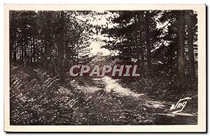 Le Vigan Carte Postale Ancienne Montdardier La forêt de pins Au fond le château