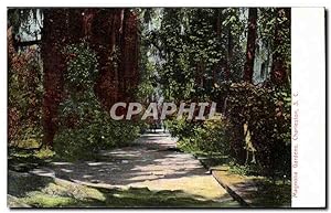 Carte Postale Ancienne Magnola Gardens Charleston SC