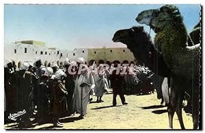 Algerie Carte Postale Ancienne Ghardaia La place du marche