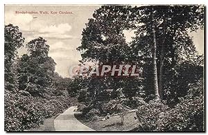 Bild des Verkufers fr Grande Bretagne Great BRitain Carte Postale Ancienne Kew gardens (jardins tropicaux) Rhododendron walk zum Verkauf von CPAPHIL