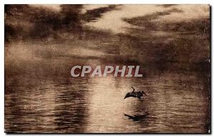 Immagine del venditore per Grande Bretagne Great BRitain Carte Postale Ancienne Dawn (WAlker Art Gallery) Farquharson (canard duck) venduto da CPAPHIL