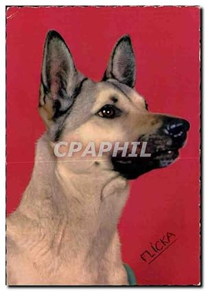 Bild des Verkufers fr Carte Postale Moderne Fantaisie Chien Berger allemand (dog) zum Verkauf von CPAPHIL