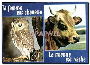 Immagine del venditore per Carte Postale Moderne TA femme est chouette La mienne est vache (humour) venduto da CPAPHIL