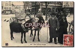 Carte Postale Ancienne Auvergne Deux heureux couples Ane Donkey ( folklore costume ) TOP