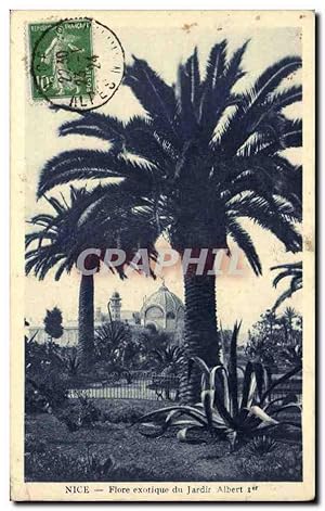 Bild des Verkufers fr Nice - Flore Exotique du Jardin Albert 1 - Carte Postale Ancienne zum Verkauf von CPAPHIL