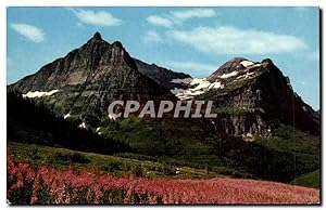 Etats Unis Carte Postale Moderne Fireweed Glacier National park Montana