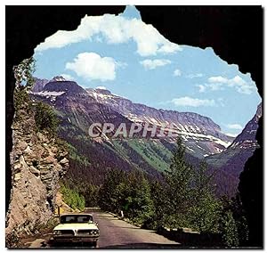 Etats Unis Carte Postale Moderne Glacier National park Montana (ours bear)