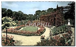 L'Hay aux roses Carte Postale Moderne La roseraie