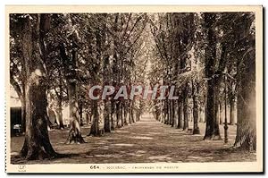 Bild des Verkufers fr Moissac - Promenade du Moulin - Carte Postale Ancienne zum Verkauf von CPAPHIL