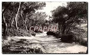 Carte Postale Ancienne La cote d'azur