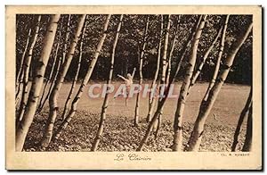 Bild des Verkufers fr Fantaisie - Femme - Danse - La Clairiere - Carte Postale Ancienne zum Verkauf von CPAPHIL