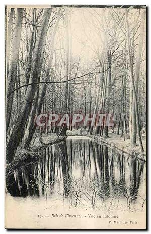 Bild des Verkufers fr Paris - 12 - Bois de Vincennes - vue en automne - fall - Carte Postale Ancienne zum Verkauf von CPAPHIL