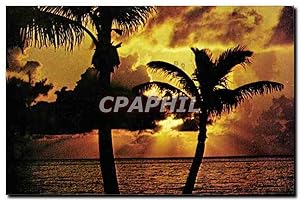 Seller image for Carte Postale Moderne Etats Unis Florida for sale by CPAPHIL