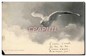 Carte Postale Ancienne Oiseau Mouette