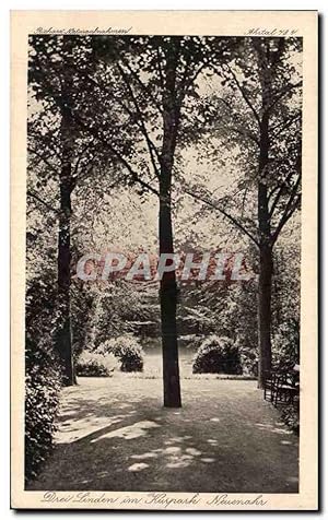 Bild des Verkufers fr Carte Postale Ancienne Drei Linden im Kurpark Neuemahr zum Verkauf von CPAPHIL