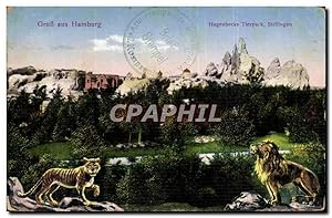 Carte Postale Ancienne Gruss aus Hamburg Hagenbacks Tierpark Stellingen Lion Tigre