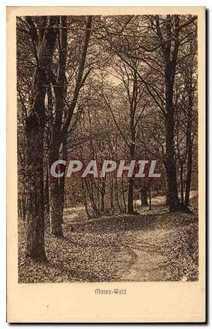 Bild des Verkufers fr Carte Postale Ancienne Maien wald (arbres tree) zum Verkauf von CPAPHIL