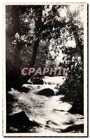 Carte Postale Ancienne Divonne les Bains La Divonne sous bois